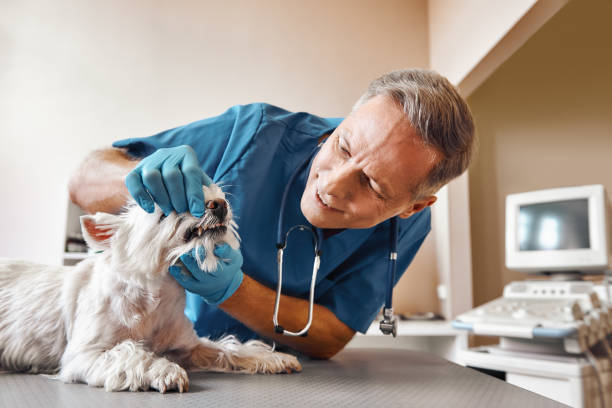 Best Emergency Treatment for Oral Infections in Jenks, OK